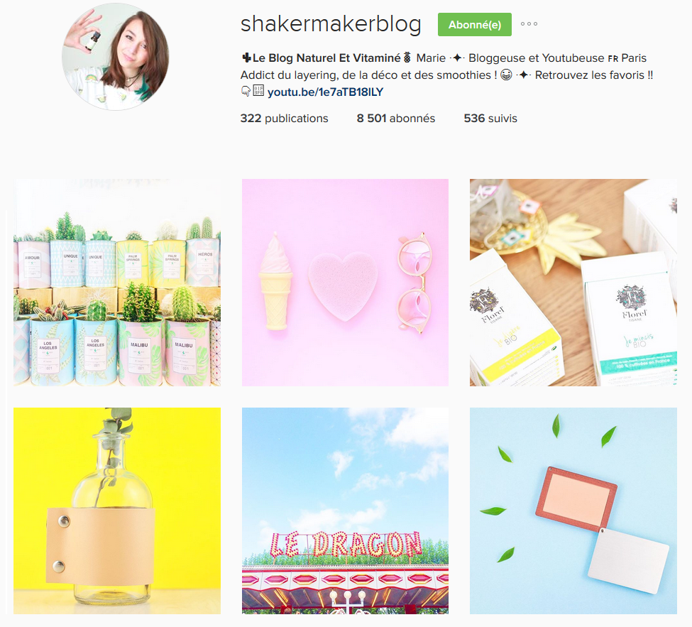 Instagram Shaker Maker Blog