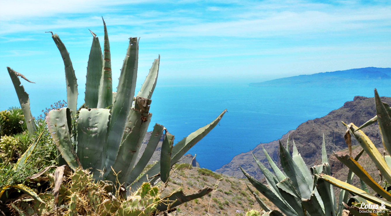 carnet-de-voyage-tenerife-04