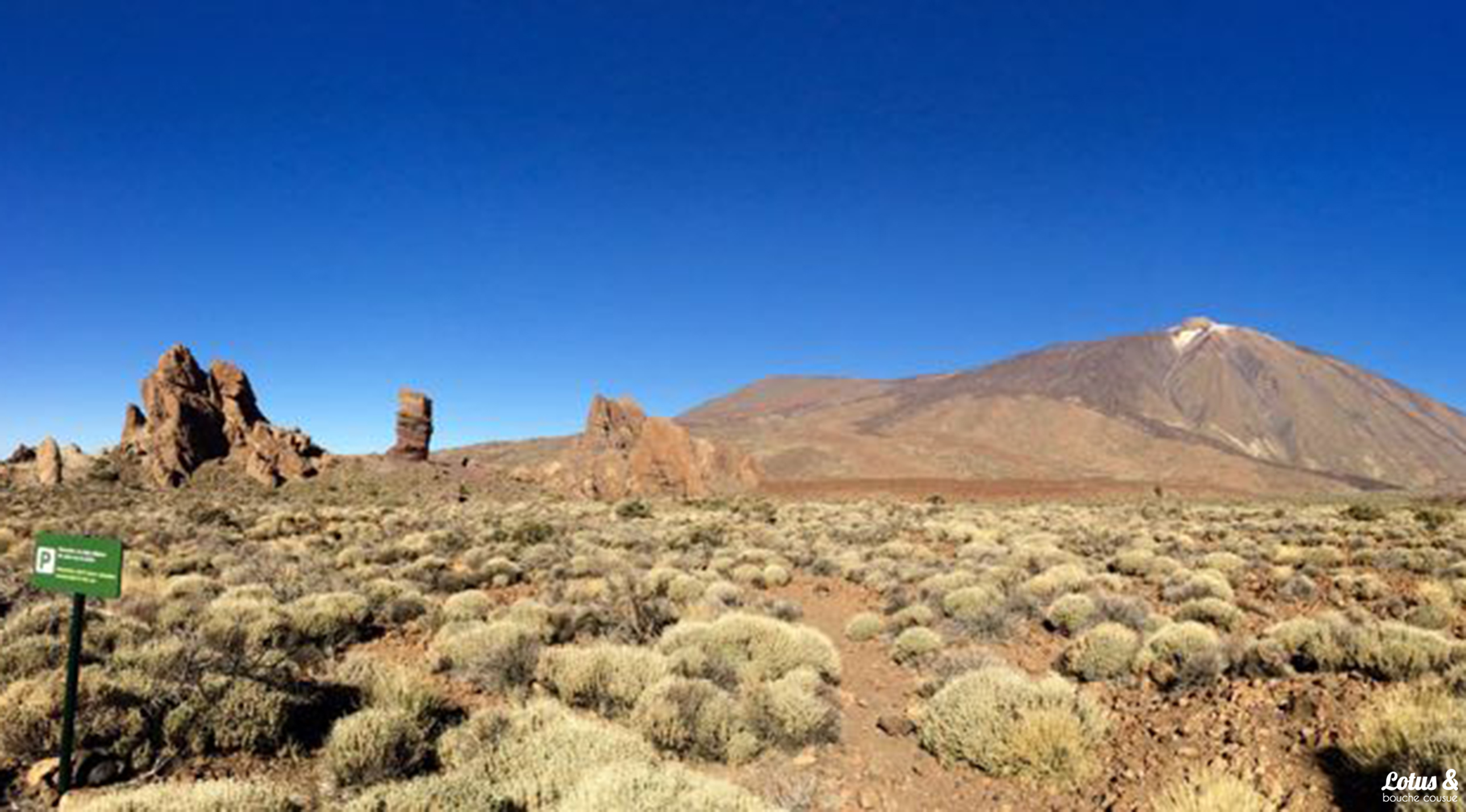 carnet-de-voyage-tenerife-06