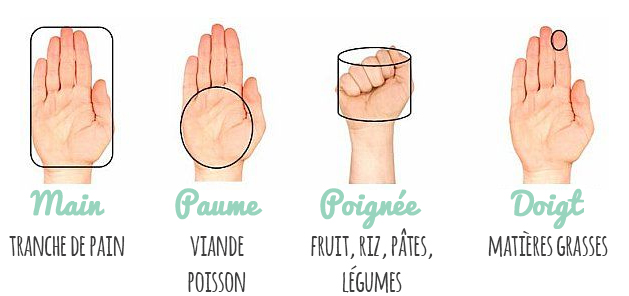 Les bonnes portions lors d'un repas – Lotus & Bouche Cousue