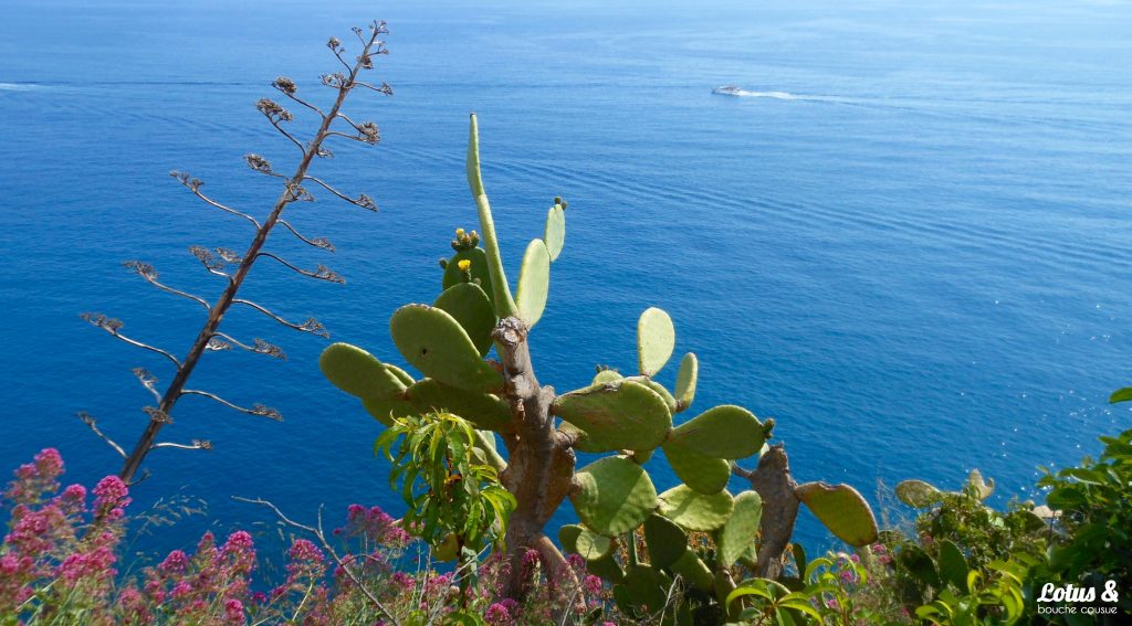 carnet-voyage-toscane-Corniglia-01